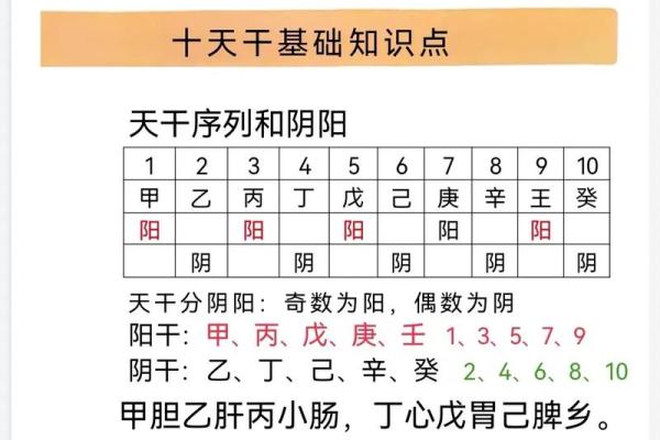 八字命理入门基础知识「方便初学」
