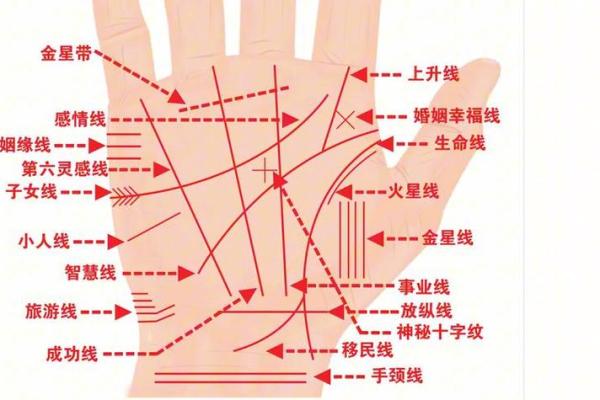 手相算命的基本原则 手相算命的基本原则