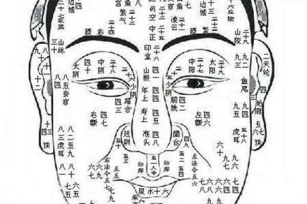 面相解析：额头面相算命图解