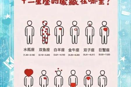 塔罗星座未来45天运势