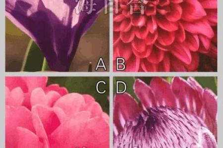 神准测试 -- 你坚持多久能获得成功？