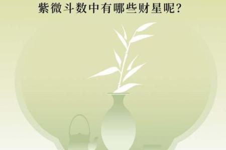 紫薇斗数看钱财