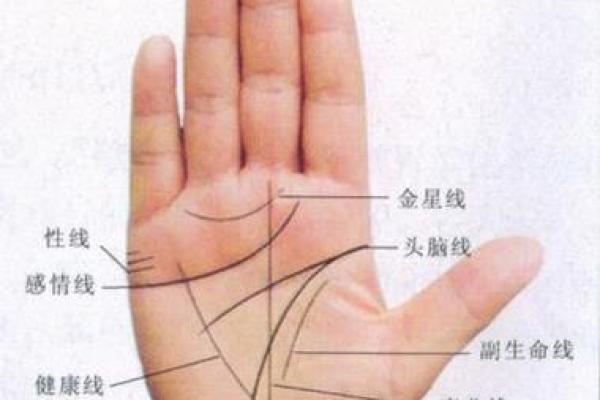 手纹算命图解【高清】 手纹算命图解【高清】