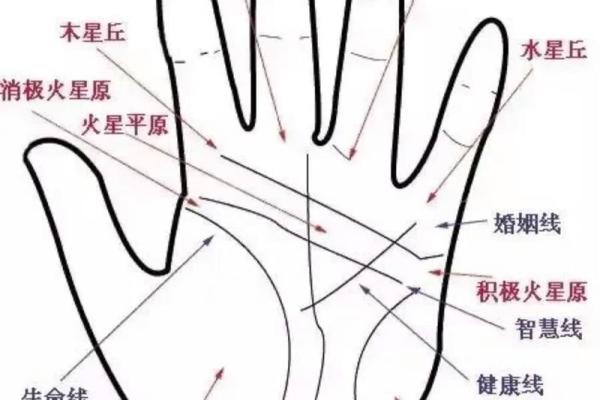 手纹算命图解【高清】 手纹算命图解【高清】