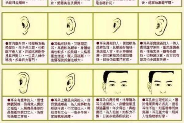 教你怎么成为旺夫的的女人，面相算命图解