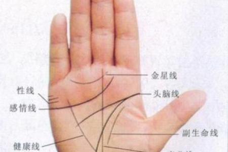 手纹算命图解【高清】