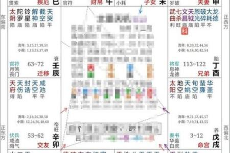 紫薇斗数官禄宫台辅