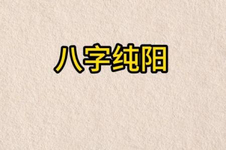 八字纯阳的男