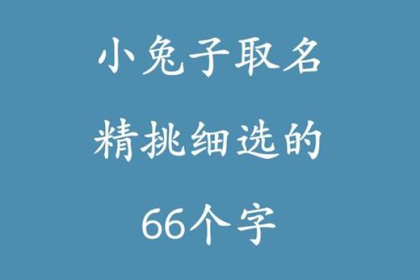 1月份出生的属兔男孩该怎样取名字姓名
