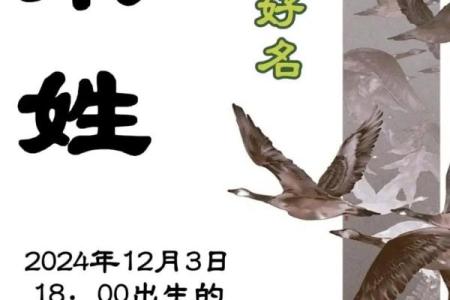 宋姓男孩名字大全-宋姓男孩起名字大全-宋姓名字大全姓名