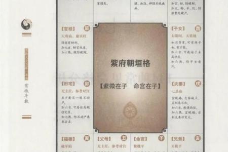 运用紫微斗数合婚都有什么讲究