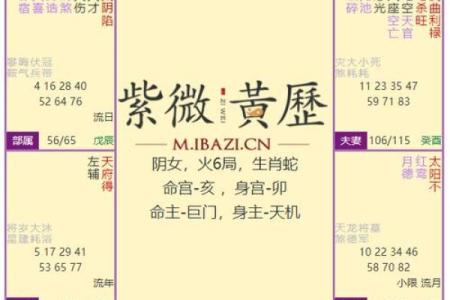 紫微斗数能量组合 紫薇斗数看你的潜能？