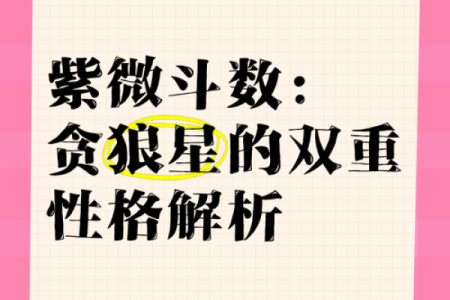 紫薇斗数紫薇贪狼在酉