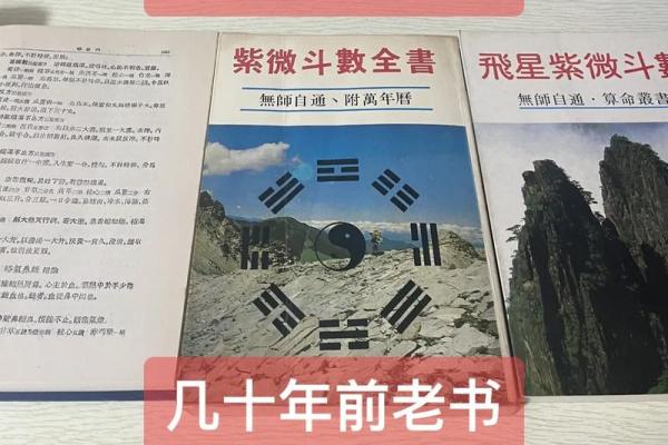 在线阅读紫微斗数全书 紫微斗数书籍在线阅读下载？