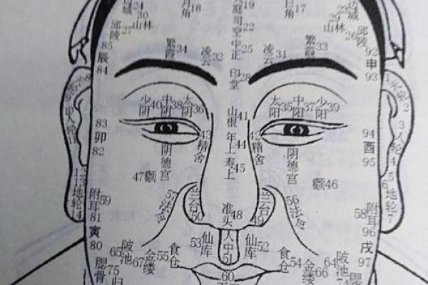 紫薇斗数科名星 紫薇斗数科名星