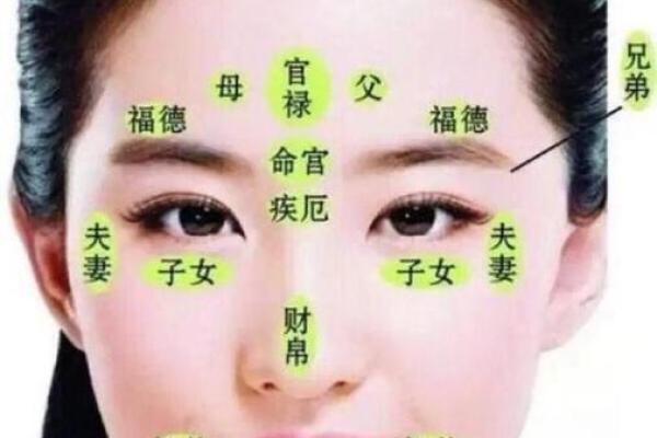 面相图解-八字眉面相算命及特征