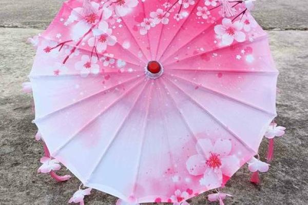 星座伞-十二星座代表的雨伞分别是什么？