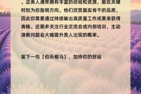 八字看事业,测一测自己事业方向