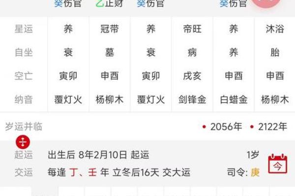 生辰八字排盘,生辰八字排盘算命详解