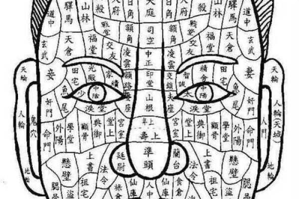相面算命看见鼻孔好吗