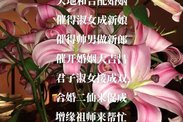 看八字断桃花运