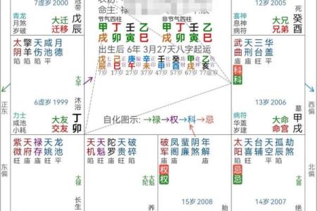 丙申年紫微斗数 丙申年运？