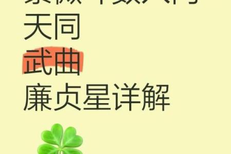 紫微斗数之福德宫与诸星，廉贞星在福德宫是什么意思？