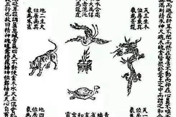 陈五行属什么 陈五行属于哪个星座