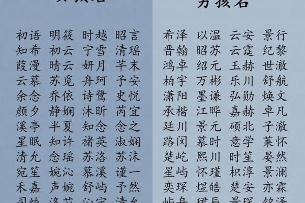 2019年4月8号卯时出生的男孩应该起什么样的名字姓名