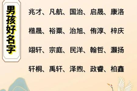 2019年3月26号辰时出生的男孩要怎么起名字姓名