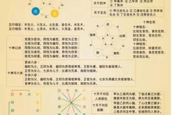 八字入门基础知识