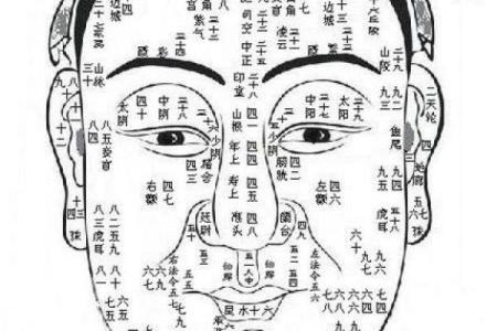 六害眉面相算命图解