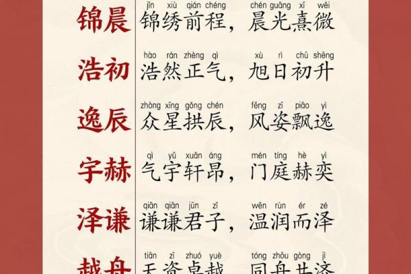 给晚上8点出生的属鸡男孩取名技巧大全姓名