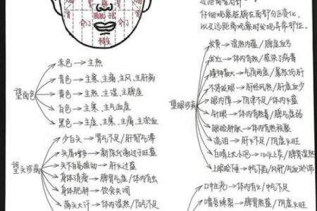 额头胎记算命图解